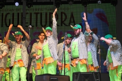 carnaval-miguelturra-murgas-chirigotas-2017