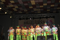 carnival-miguelturra-murgas-chirigotas-2017
