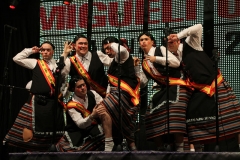 carnival-miguelturra-chirigotas-2018