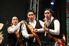 carnival-miguelturra-chirigotas-2018