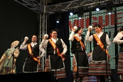 carnival-miguelturra-chirigotas-2018