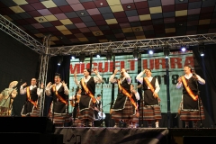 carnival-miguelturra-chirigotas-2018