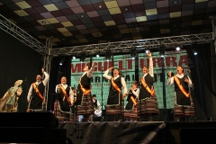 carnival-miguelturra-chirigotas-2018