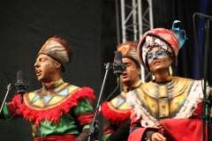 carnival-miguelturra-chirigotas-2018