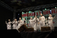 carnival-miguelturra-chirigotas-2018