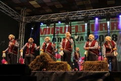 carnival-miguelturra-chirigotas-2018