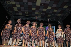 carnaval-miguelturra-chirigotas-2019