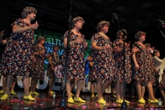 carnival-miguelturra-chirigotas-2019