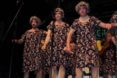carnival-miguelturra-chirigotas-2019