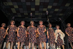 carnival-miguelturra-chirigotas-2019