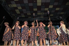 carnaval-miguelturra-chirigotas-2019