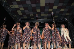 carnival-miguelturra-chirigotas-2019