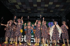 carnival-miguelturra-chirigotas-2019