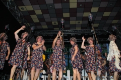 carnaval-miguelturra-chirigotas-2019