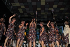 carnaval-miguelturra-chirigotas-2019