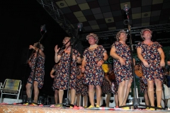 carnaval-miguelturra-chirigotas-2019