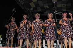 carnaval-miguelturra-chirigotas-2019
