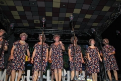 carnaval-miguelturra-chirigotas