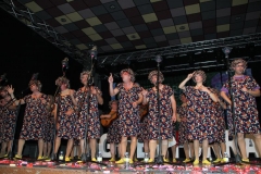 carnaval-miguelturra-chirigotas