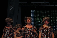 carnaval-miguelturra-chirigotas