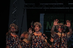 carnaval-miguelturra-chirigotas