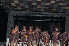 carnaval-miguelturra-chirigotas