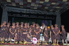 carnaval-miguelturra-chirigotas