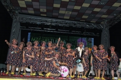 carnaval-miguelturra-chirigotas