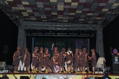 carnaval-miguelturra-chirigotas