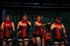 carnaval-miguelturra-chirigotas