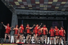 carnaval-miguelturra-chirigotas-2019