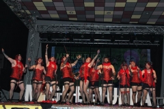 carnaval-miguelturra-chirigotas-2019