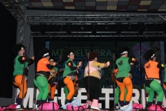 carnaval-miguelturra-chirigotas-2019
