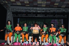 carnaval-miguelturra-chirigotas-2019