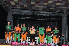 carnaval-miguelturra-chirigotas-2019