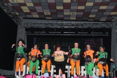 carnaval-miguelturra-chirigotas-2019
