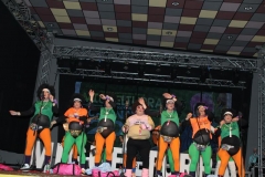 carnaval-miguelturra-chirigotas-2019