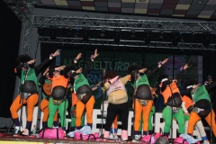 carnaval-miguelturra-chirigotas-2019
