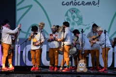 carnival-miguelturra-chirigotas-2020