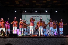 carnaval-miguelturra-chirigotas-2020