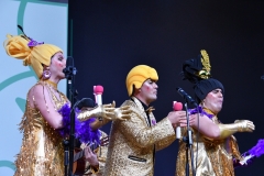 carnaval-miguelturra-chirigotas-2020