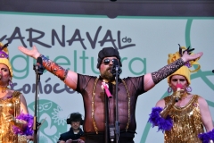 carnaval-miguelturra-chirigotas-2020