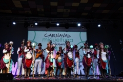 carnaval-miguelturra-chirigotas-2020