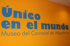 carnival-miguelturra-museum-momo