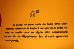 carnival-miguelturra-museum-momo