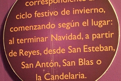 carnaval-miguelturra-museo-momo