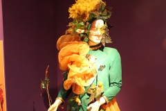 carnaval-miguelturra-museo-momo