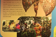 carnaval-miguelturra-museo-momo
