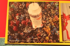 carnaval-miguelturra-museo-momo
