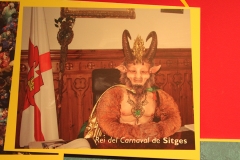 carnaval-miguelturra-museo-momo